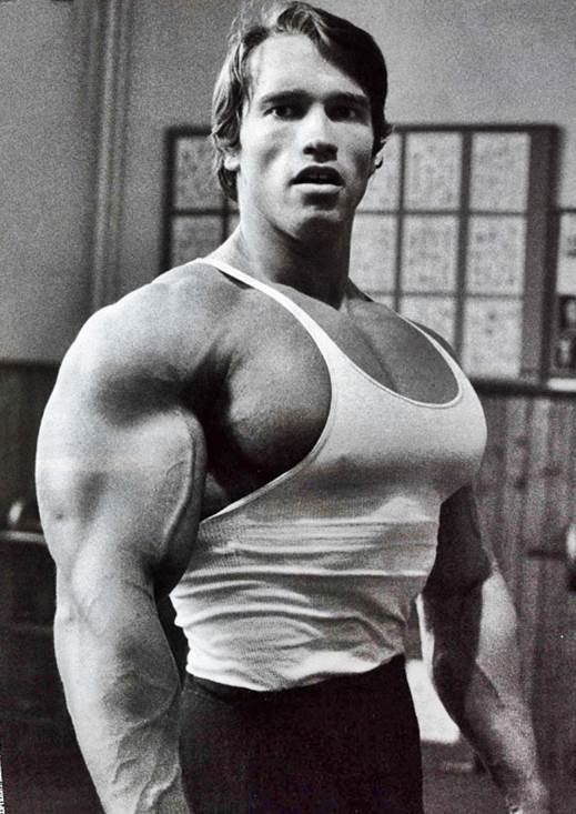 arnold-schwarzenegger