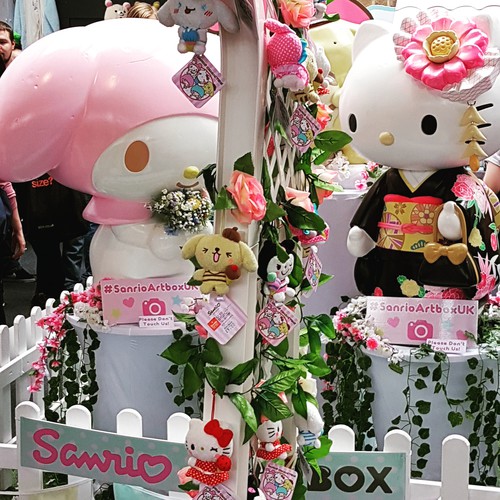 notebook_image_818927