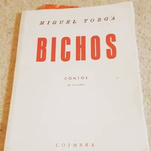 23101611_142673363023223_5927056826985086976_n(1)