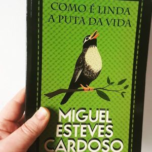 28432696_336827316811327_6148354819342991360_n