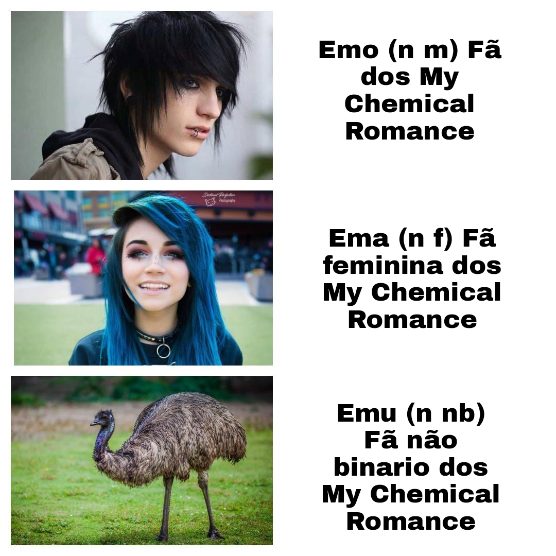 Emos, Emas and Emus: know the difference – Luso