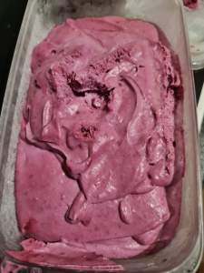 Gelado de Groselhas-Pretas