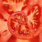 Tomates 