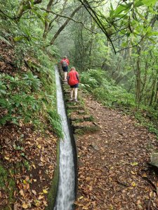 Levada do Moinho 