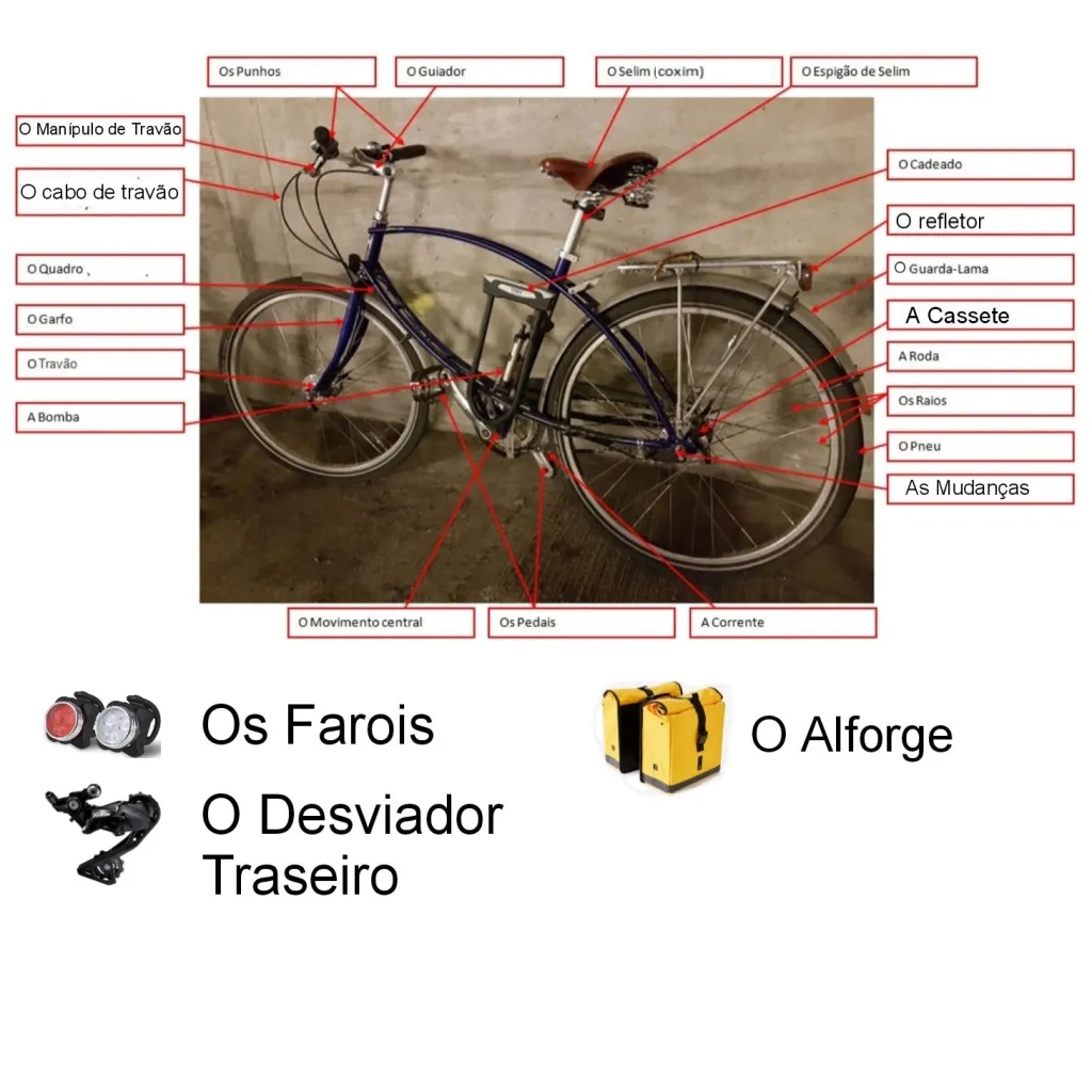 A diagram showing parts of a bicycle in european portuguese